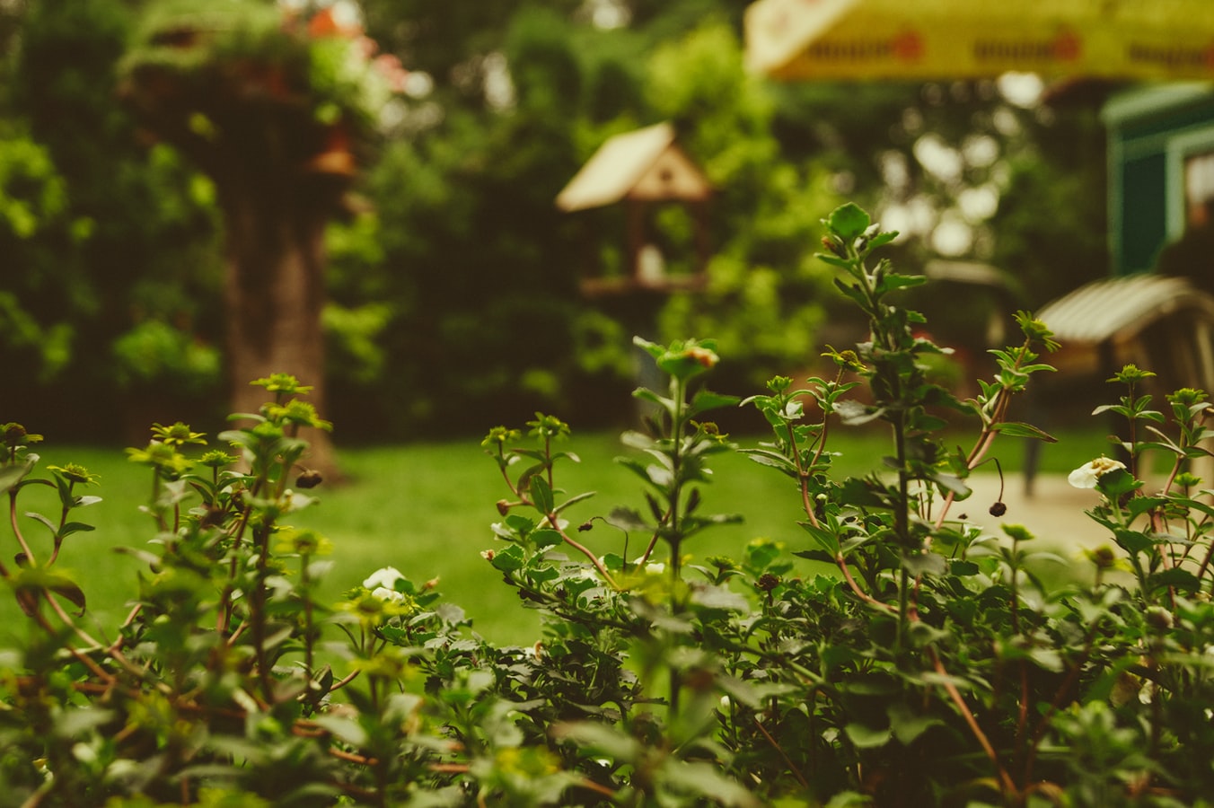 Landscaping Your Garden
