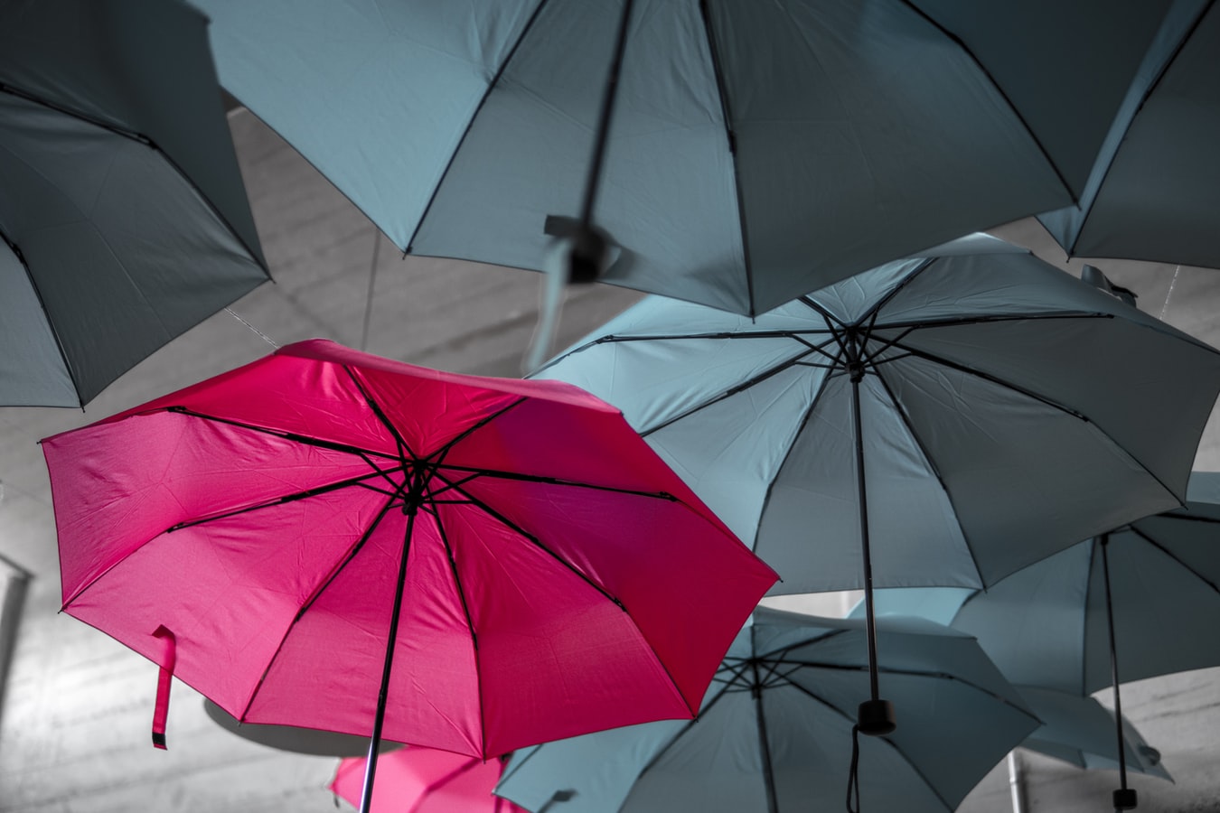 stand out and be noticed