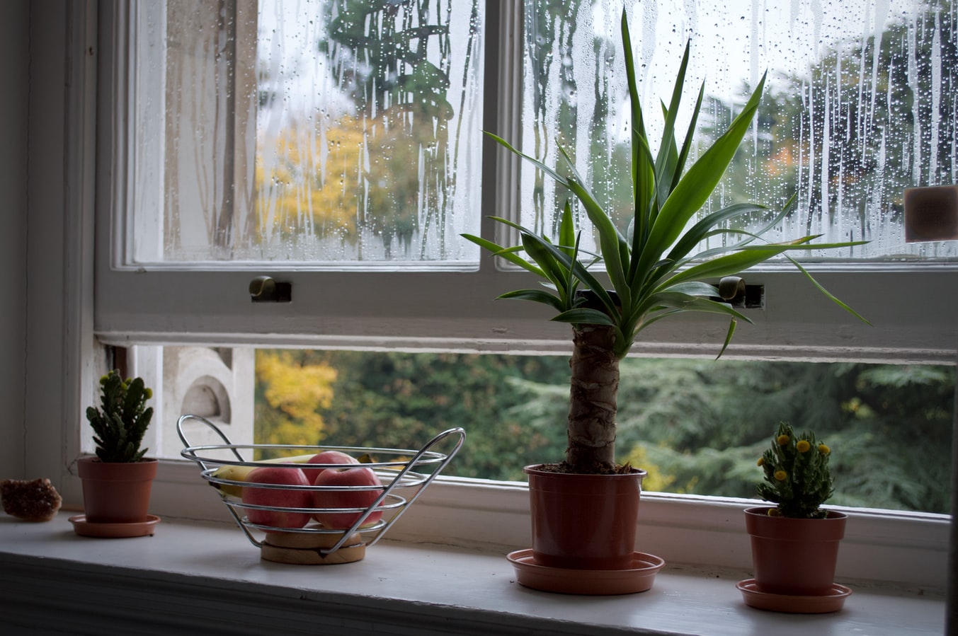 How To Improve Ventilation and Air Flow In Houses