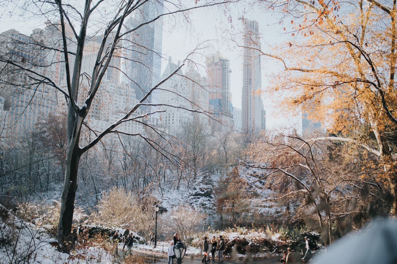 New York snow