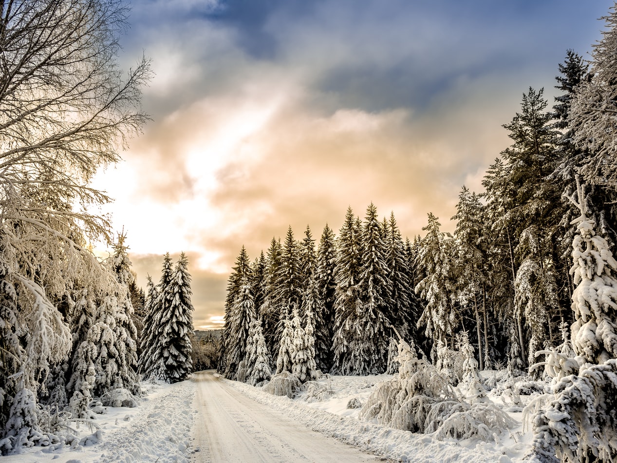 White Christmas