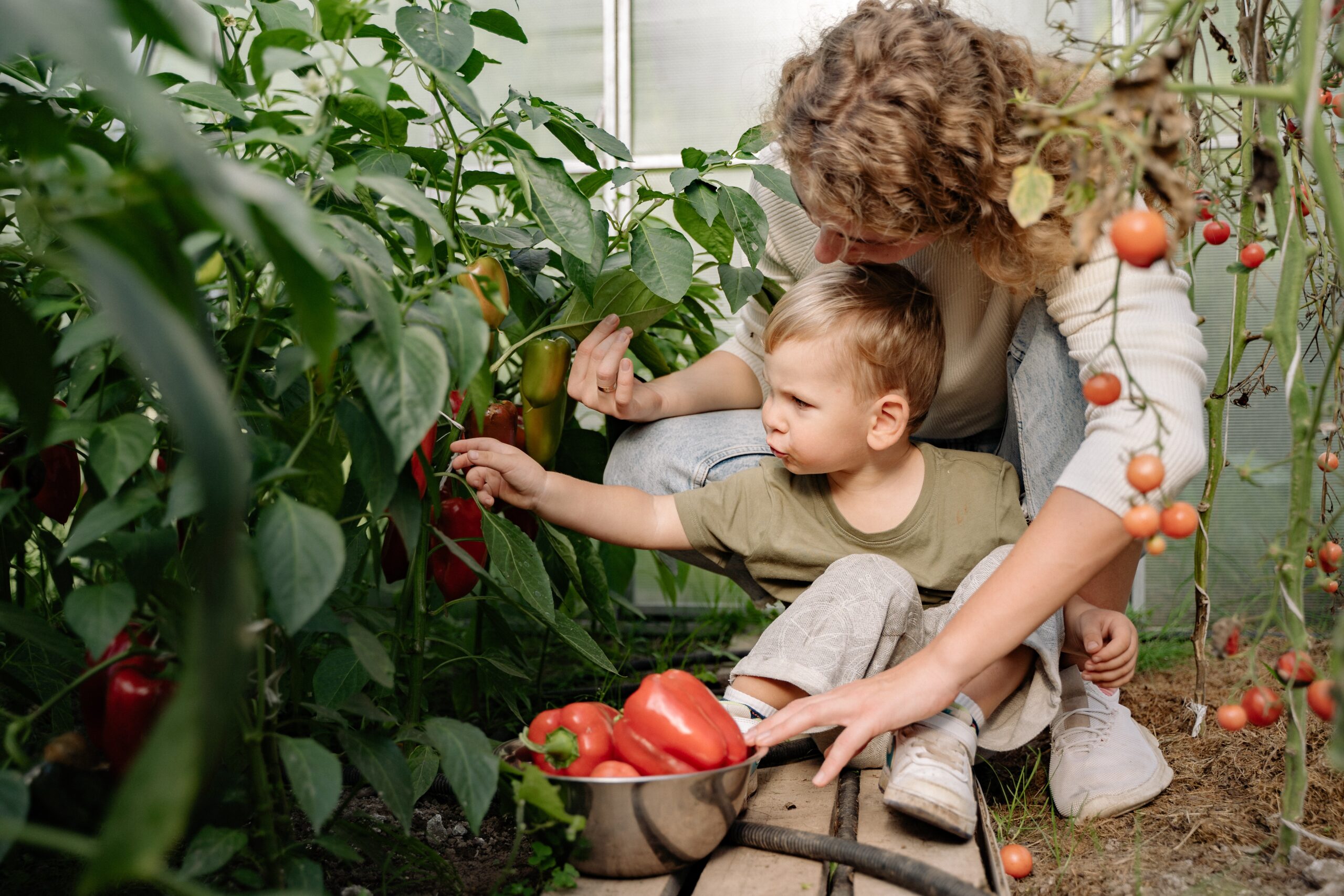 Garden Time: When To Grow Fruit & Vegetables