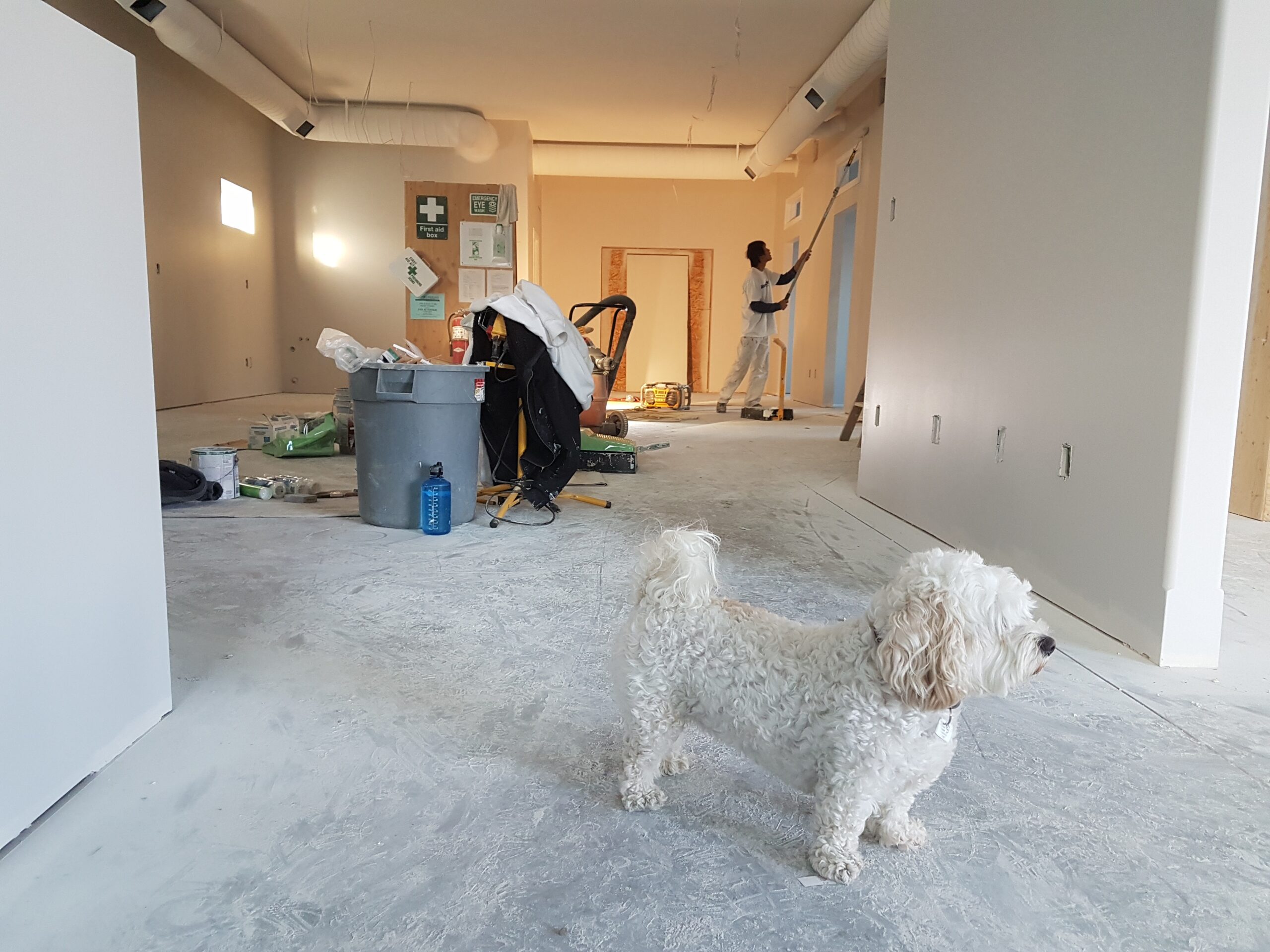 How to Get the Most Out of Your Home Renovation