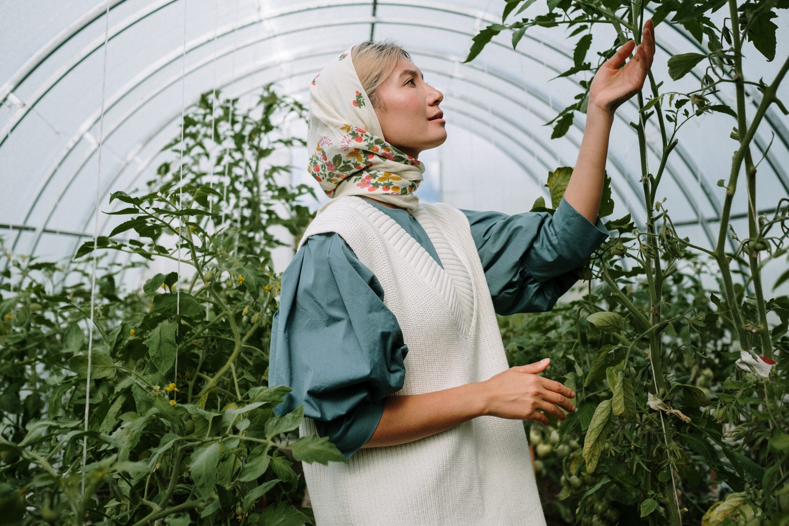 Four Reasons to Start Growing Your Own Vegetables