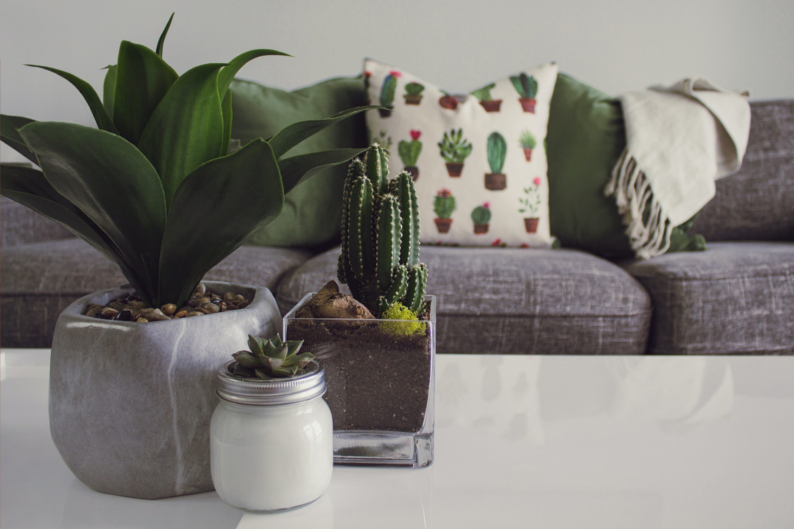 turn your house into a home