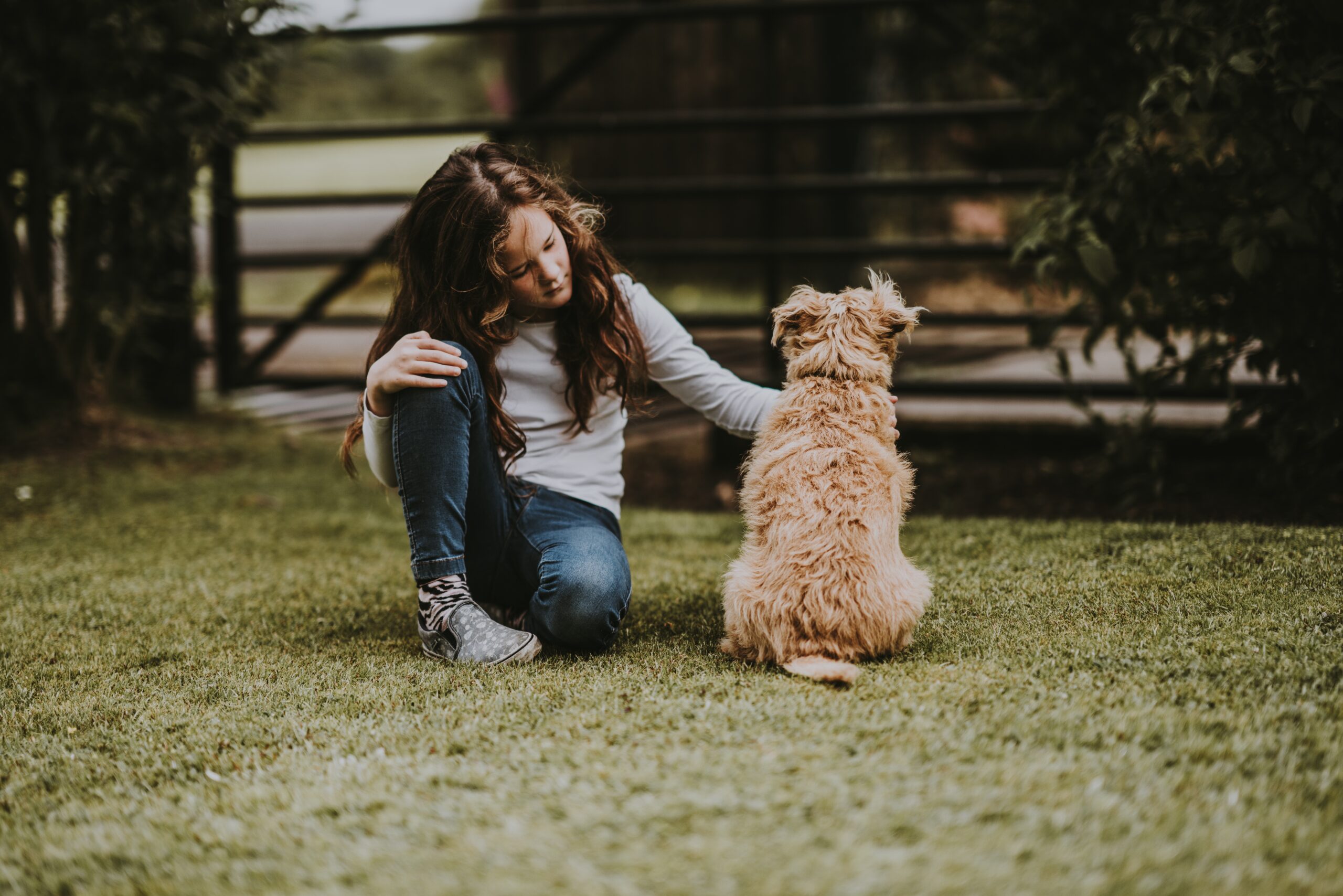 family pet teaches responsibility