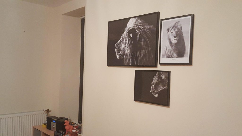 Frames