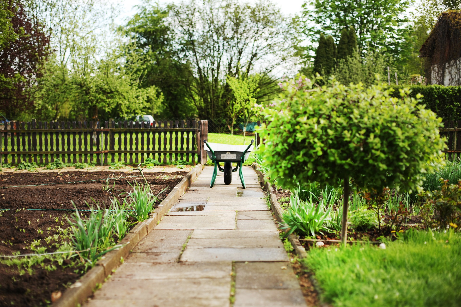 Garden