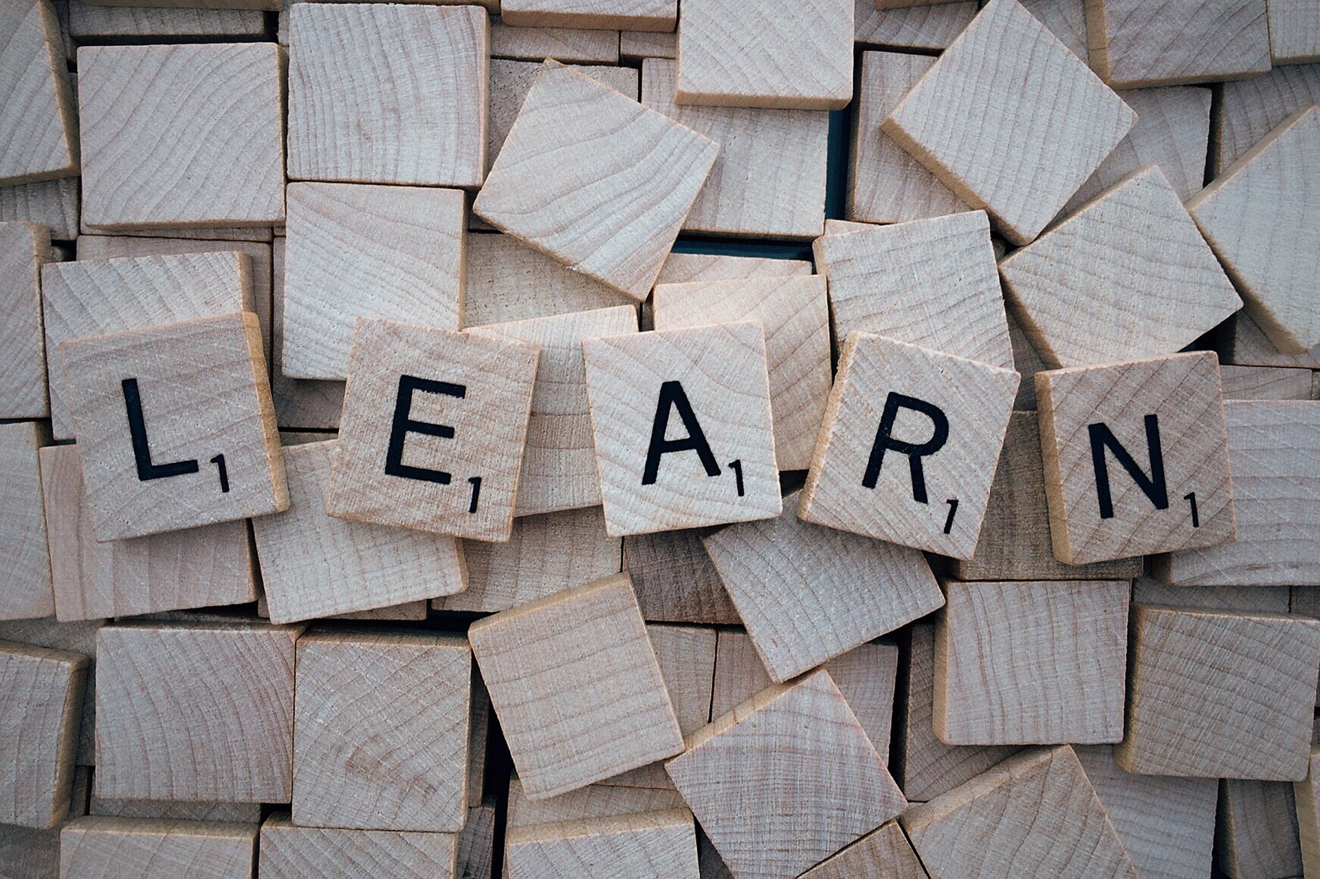 Speech and language - scrabble pieces spell out Learn