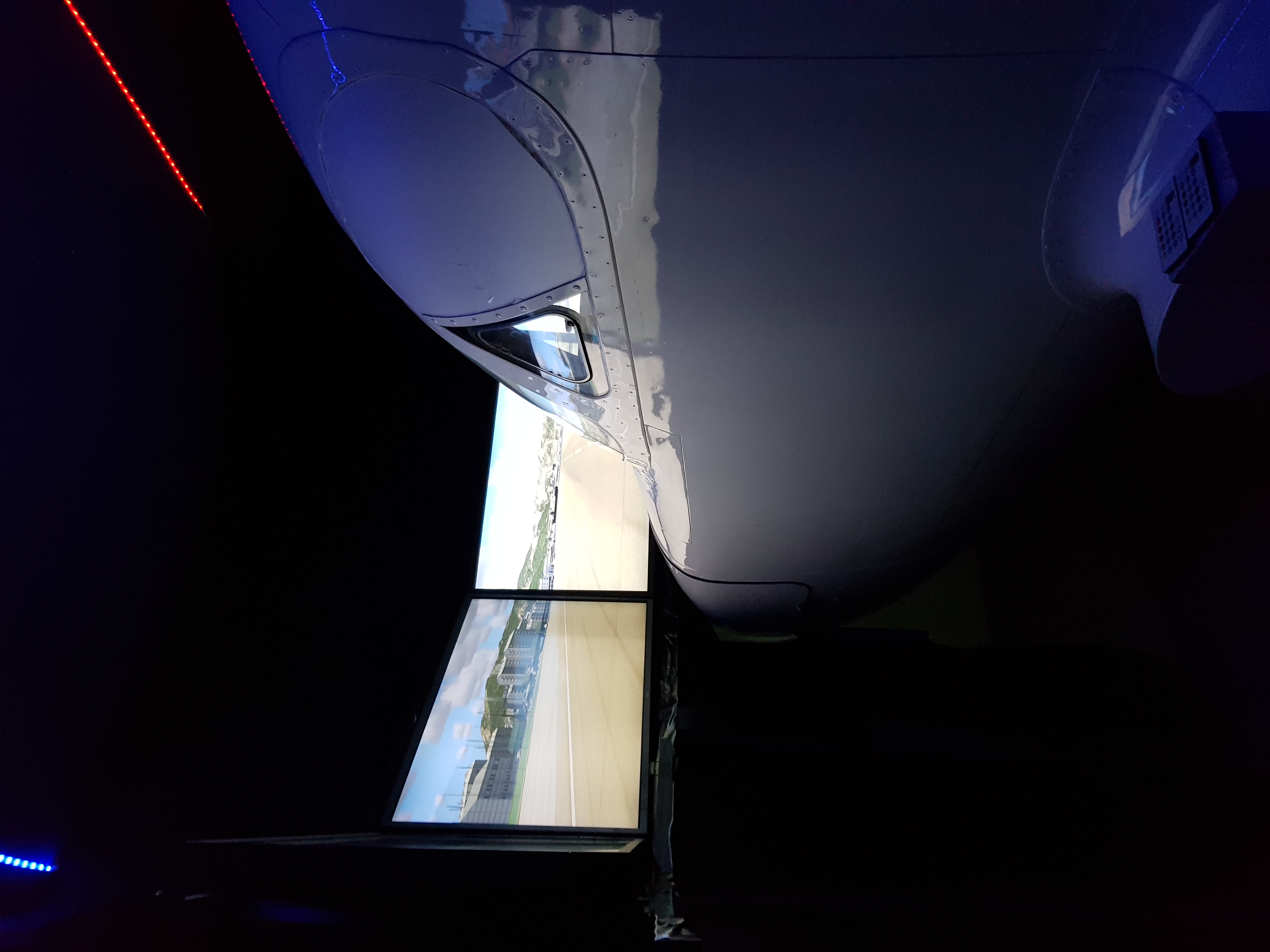 Flight Simulator