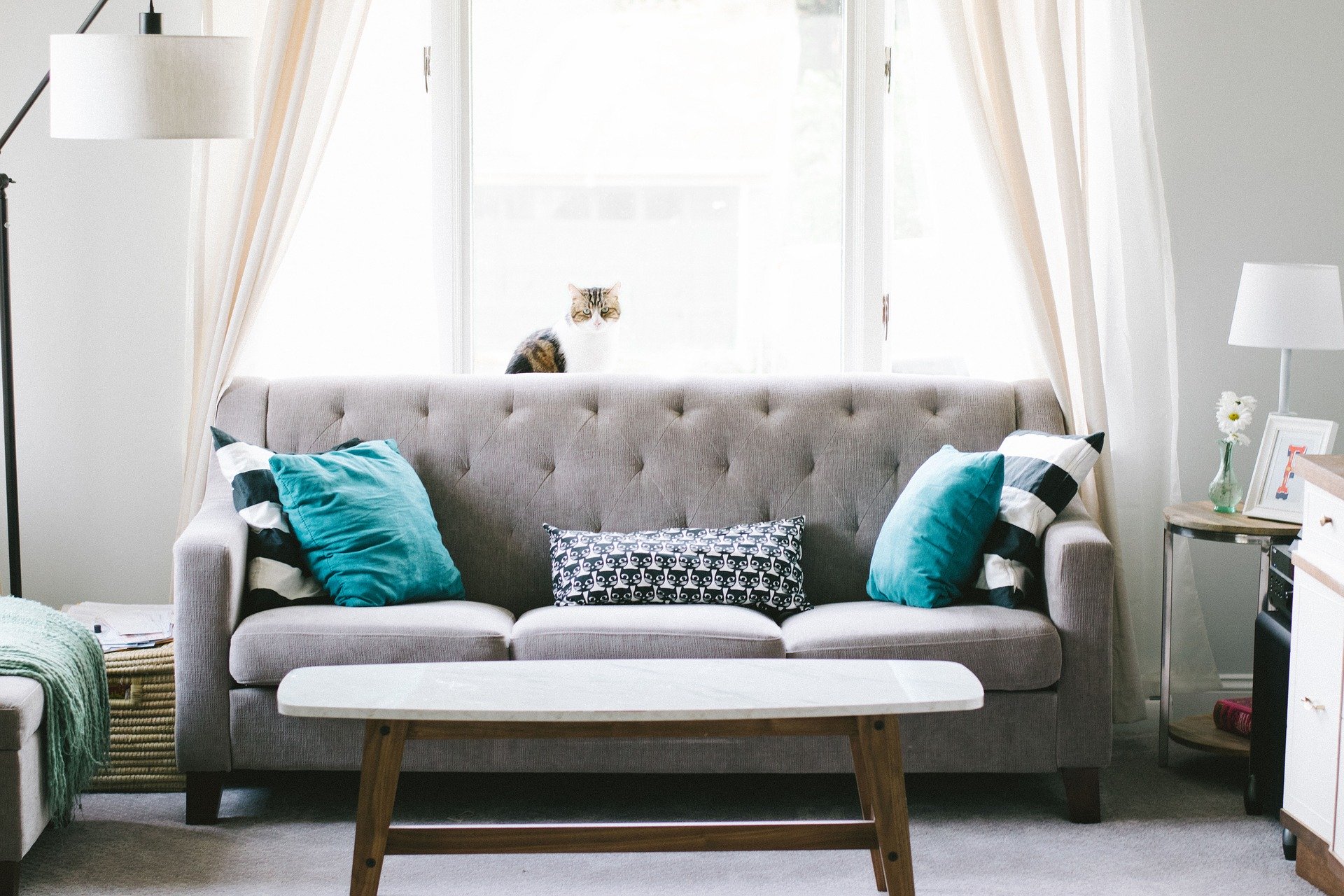grey sofa with blue cushions in a living room - plans to move around my living room this lockdown