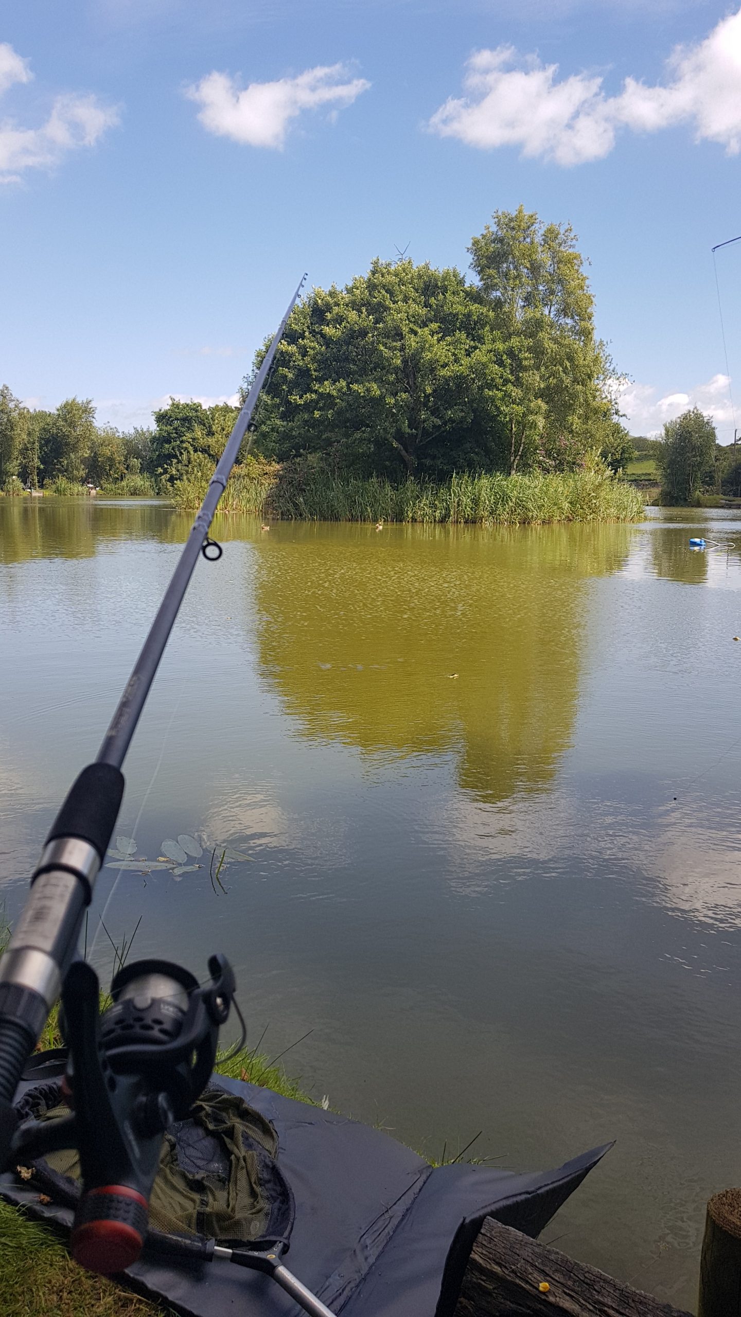 Fishing rod over water with a blue sky 2020