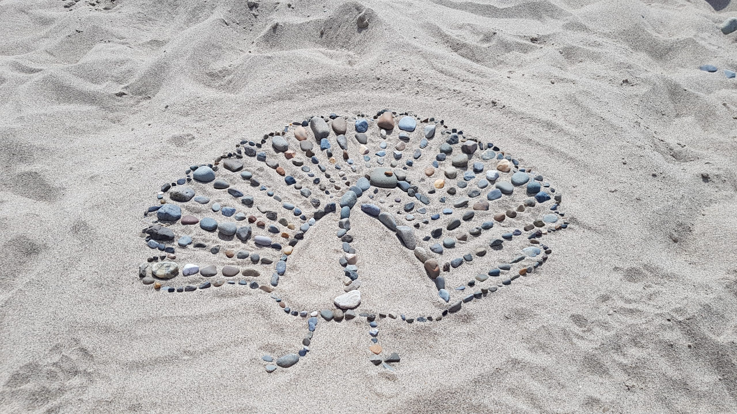 Stone arranged on a beach to make a turkey 2020
