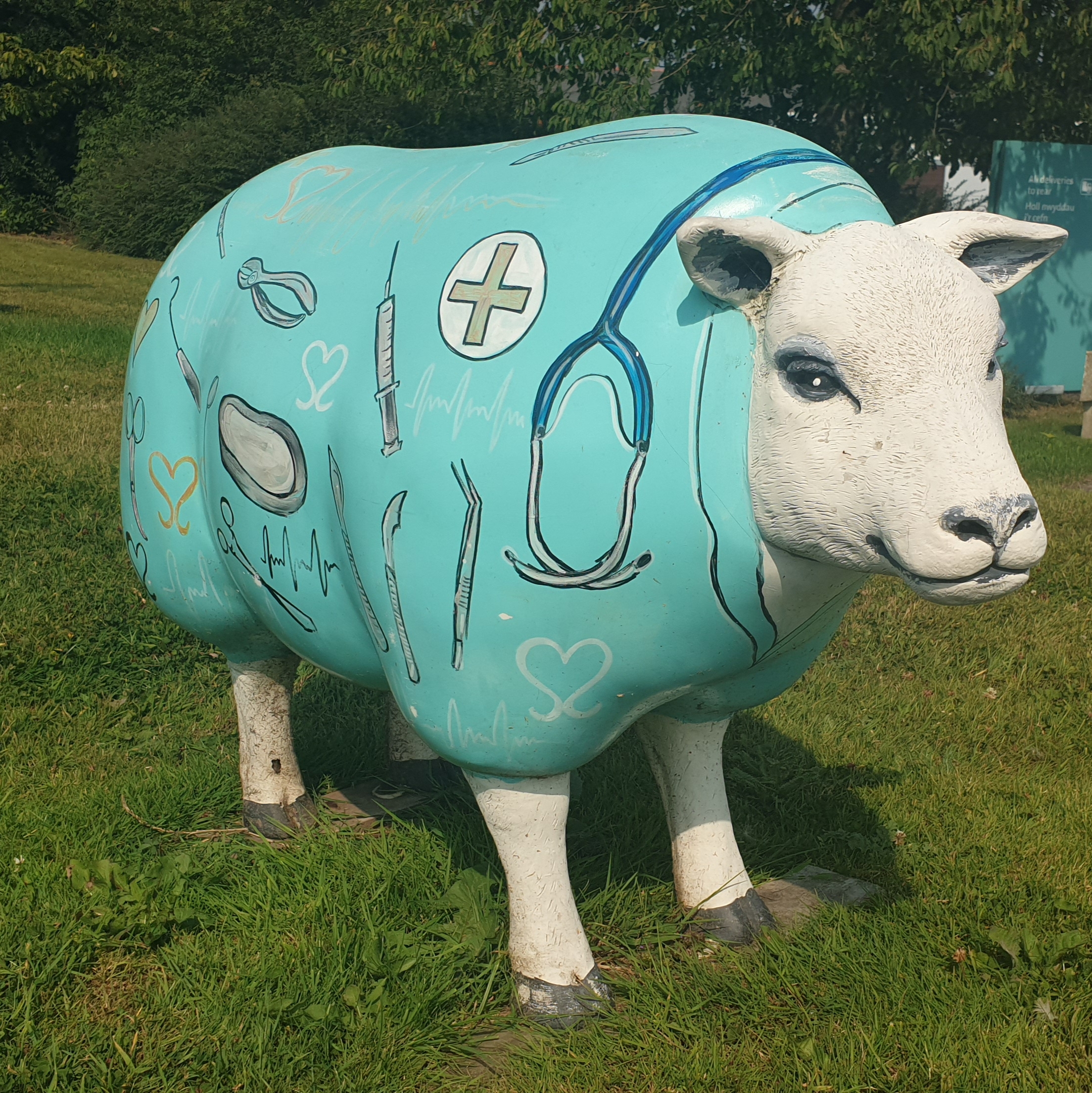 White sheep with scrubs and stethoscope