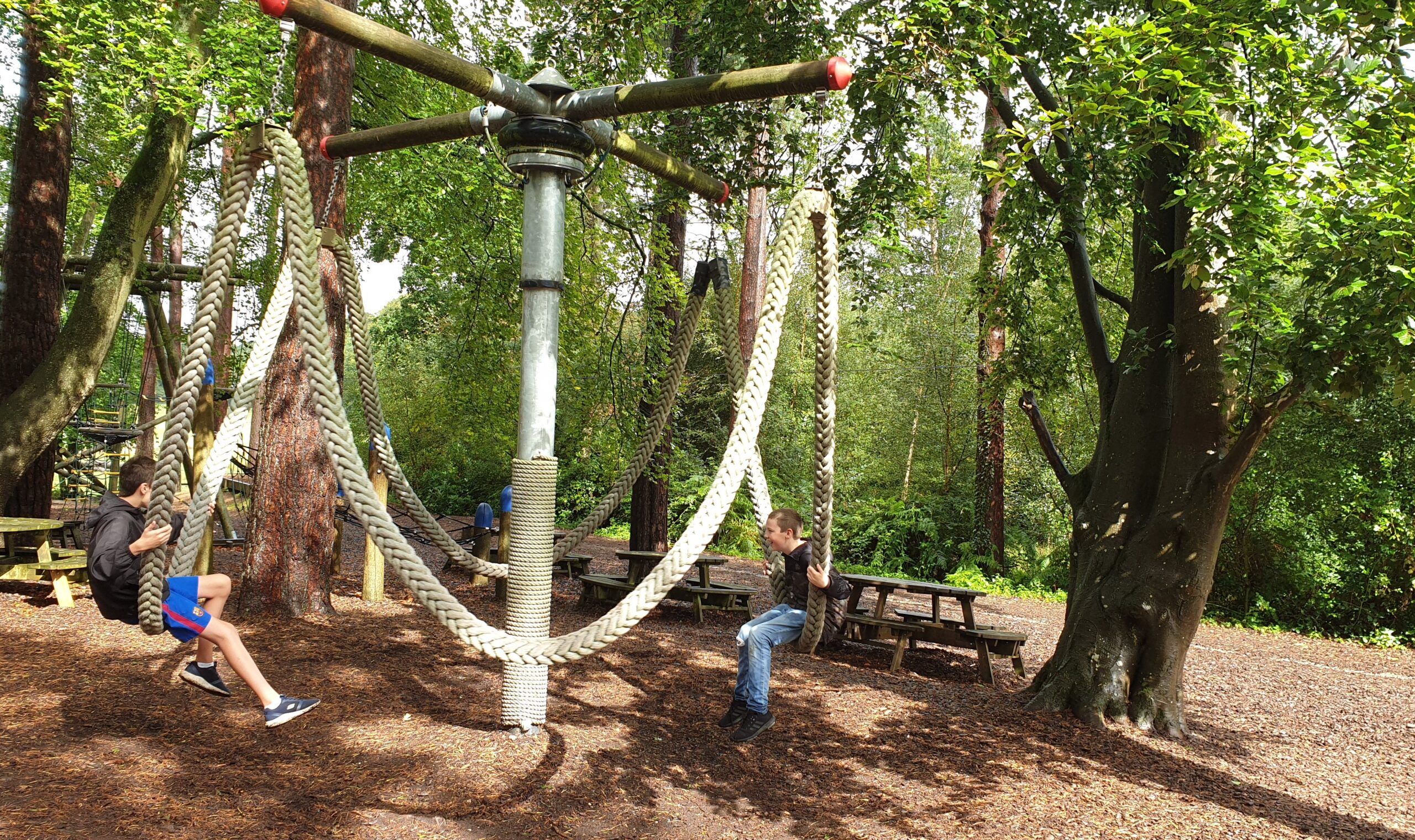 New forest wildlife park - play park