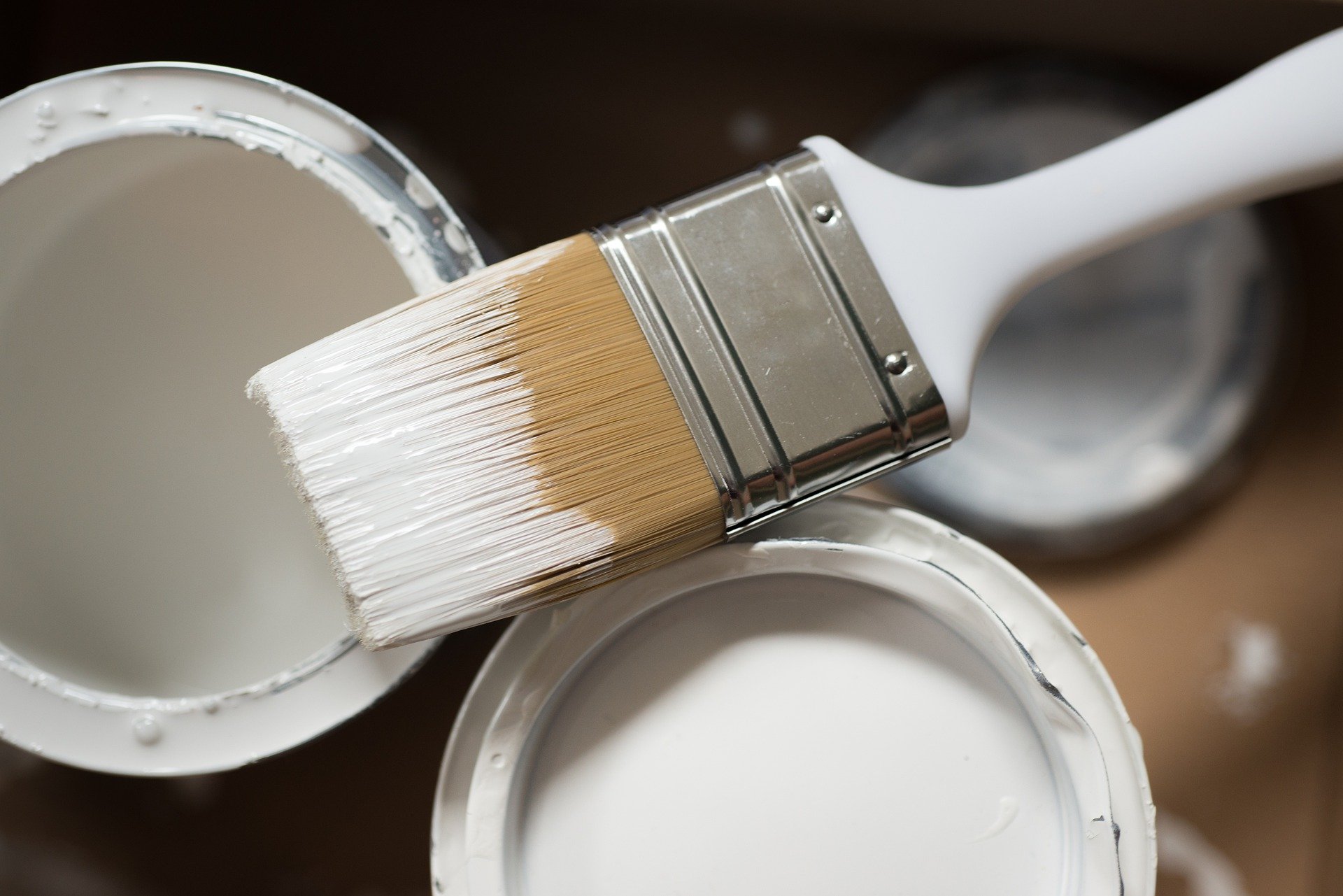 Home Improvement - paint pots and paint brush in white