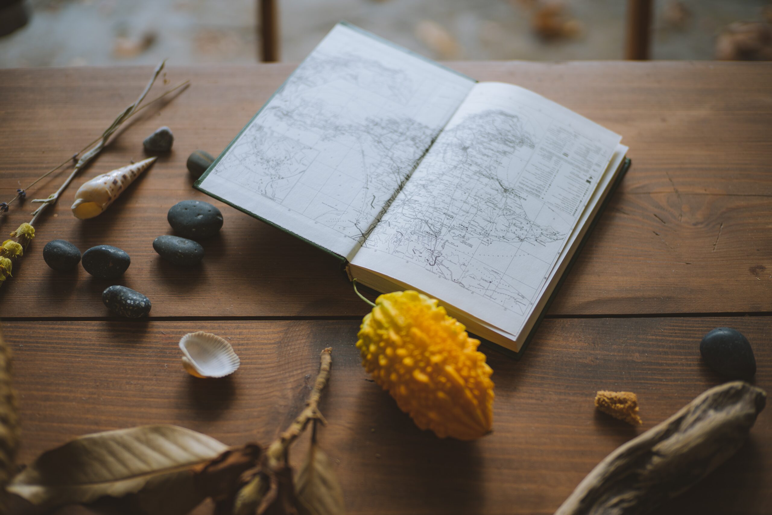 Screen-free Activities