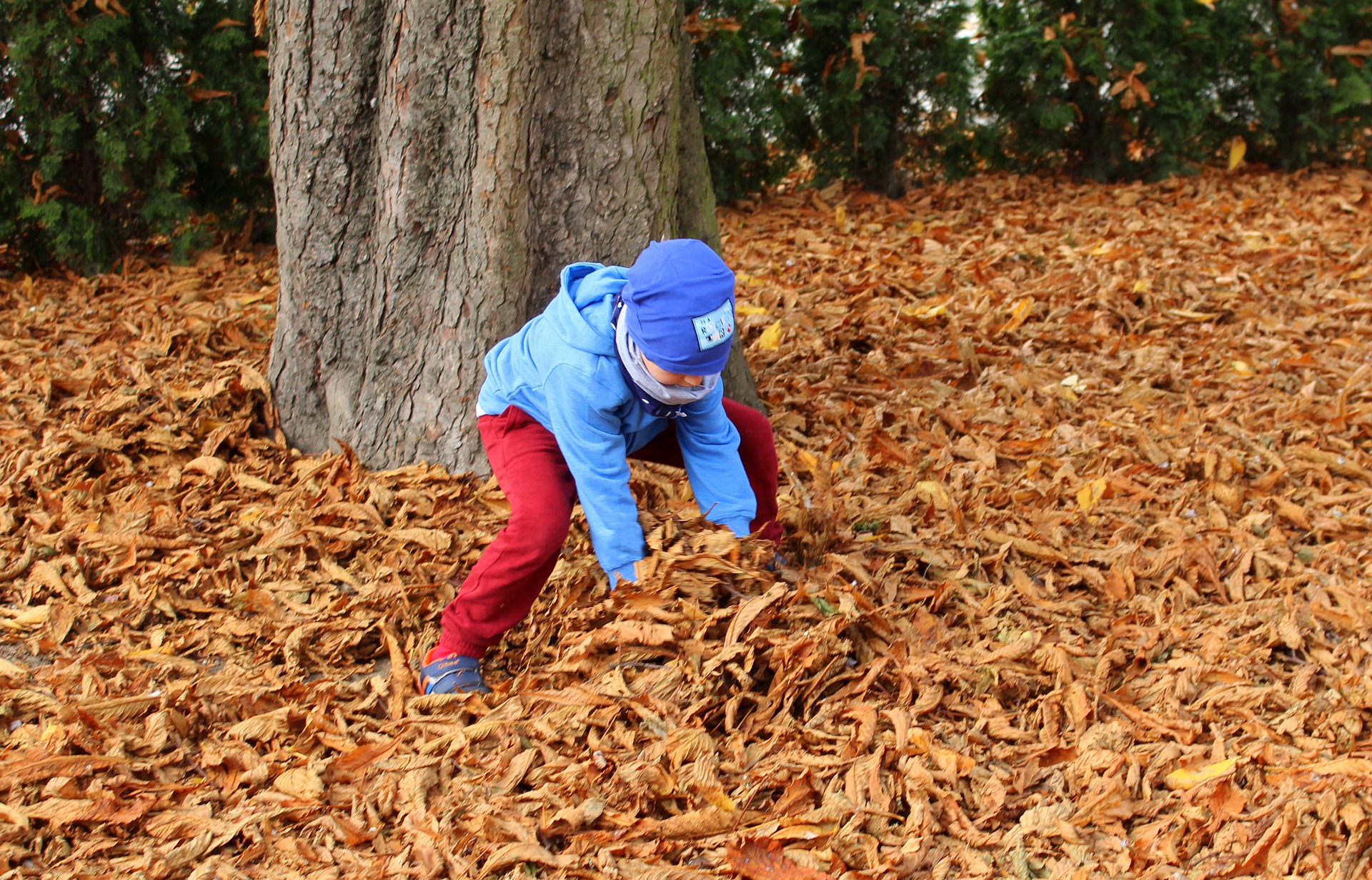 Helping Your Child Become More Independent
