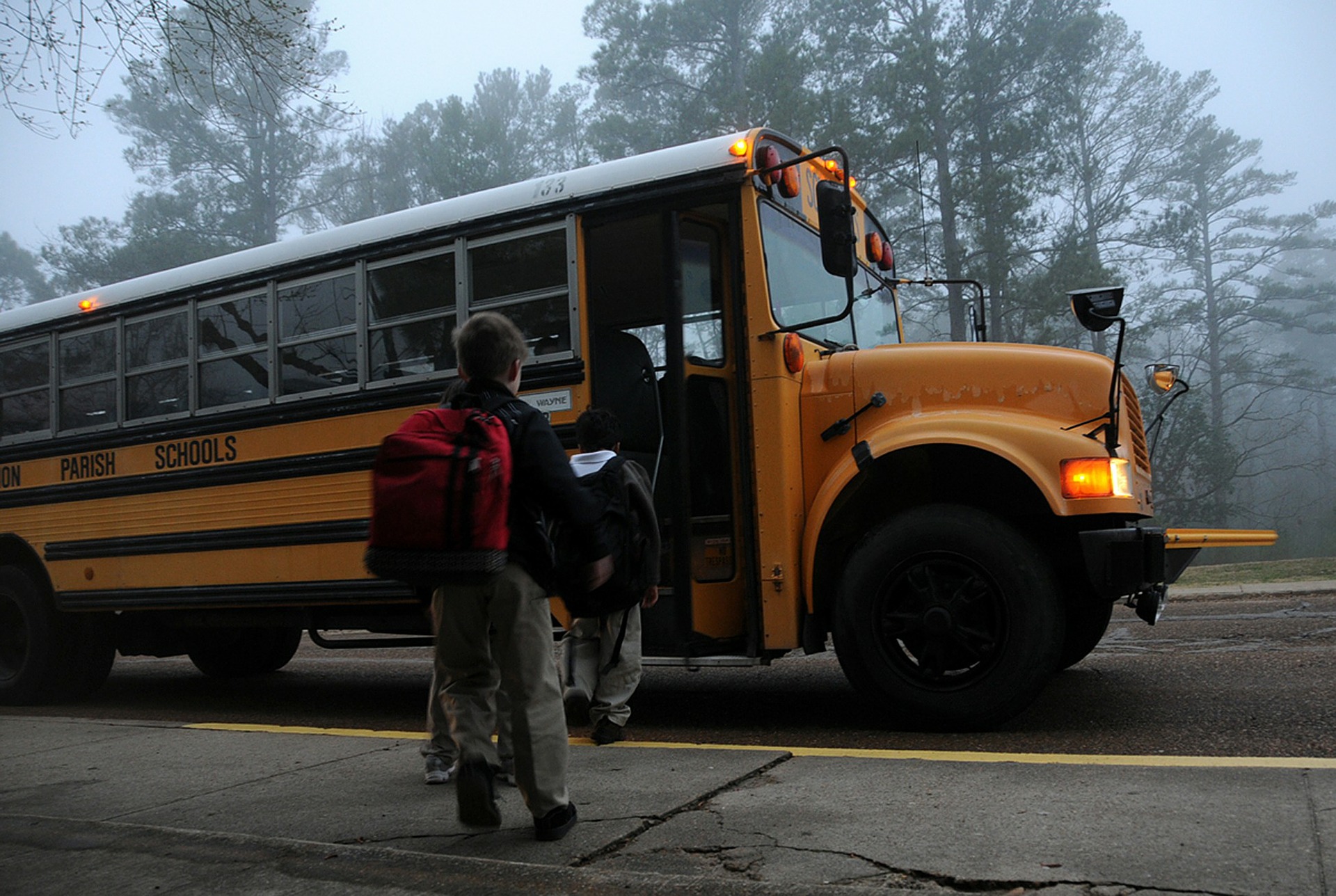School Bus