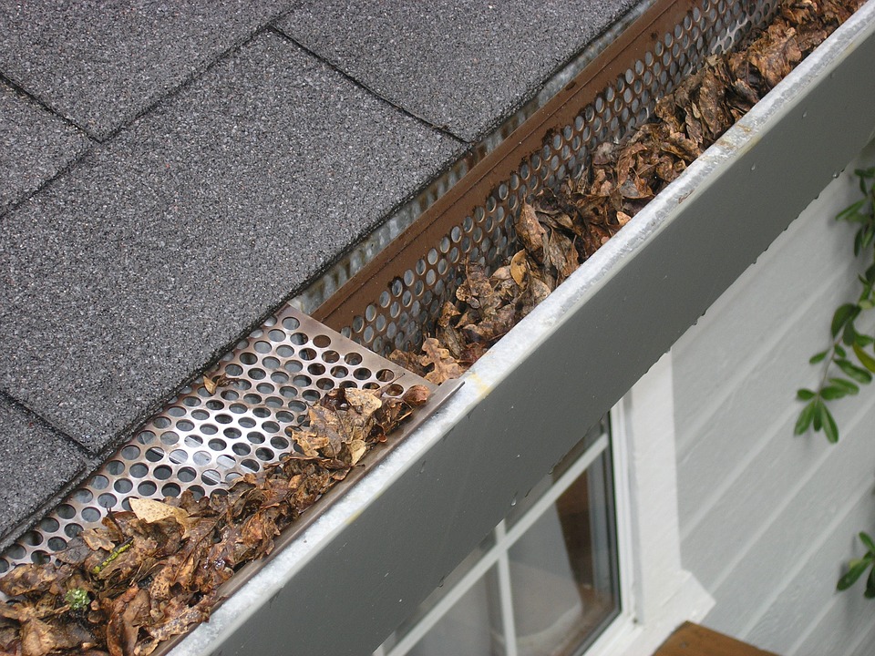 Guttering needing cleaning