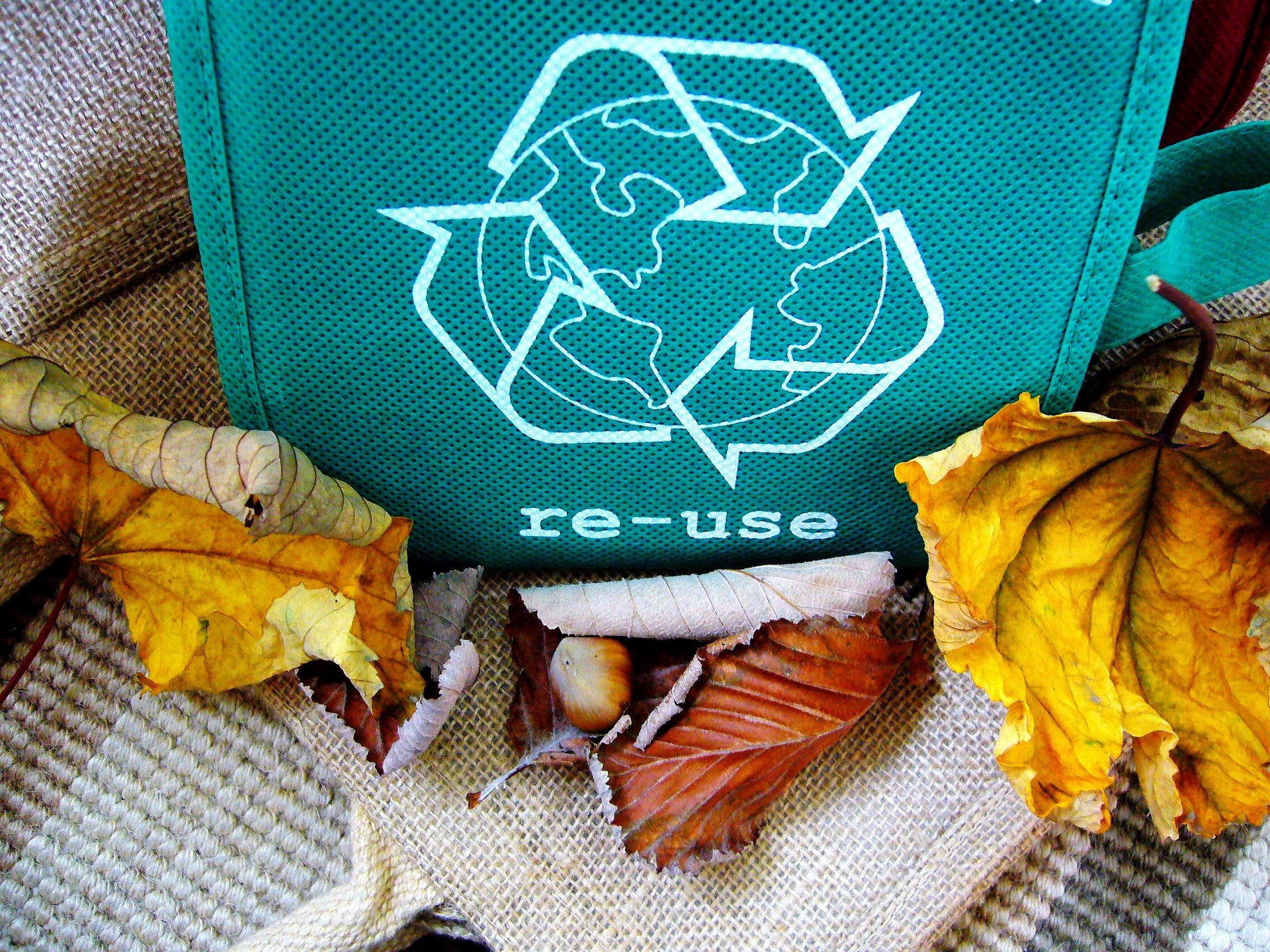 How to Raise an Environmentally Conscious Child