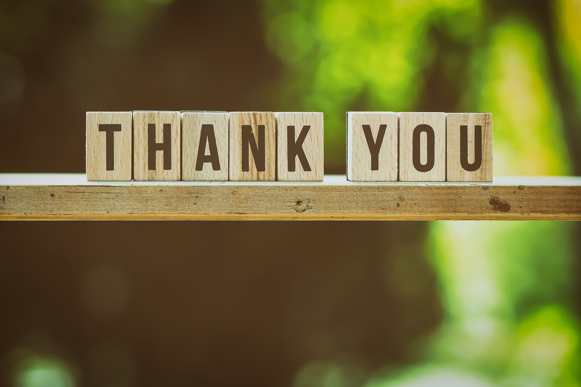 Wooden Brick on a plank that spells thank you. Gratitude