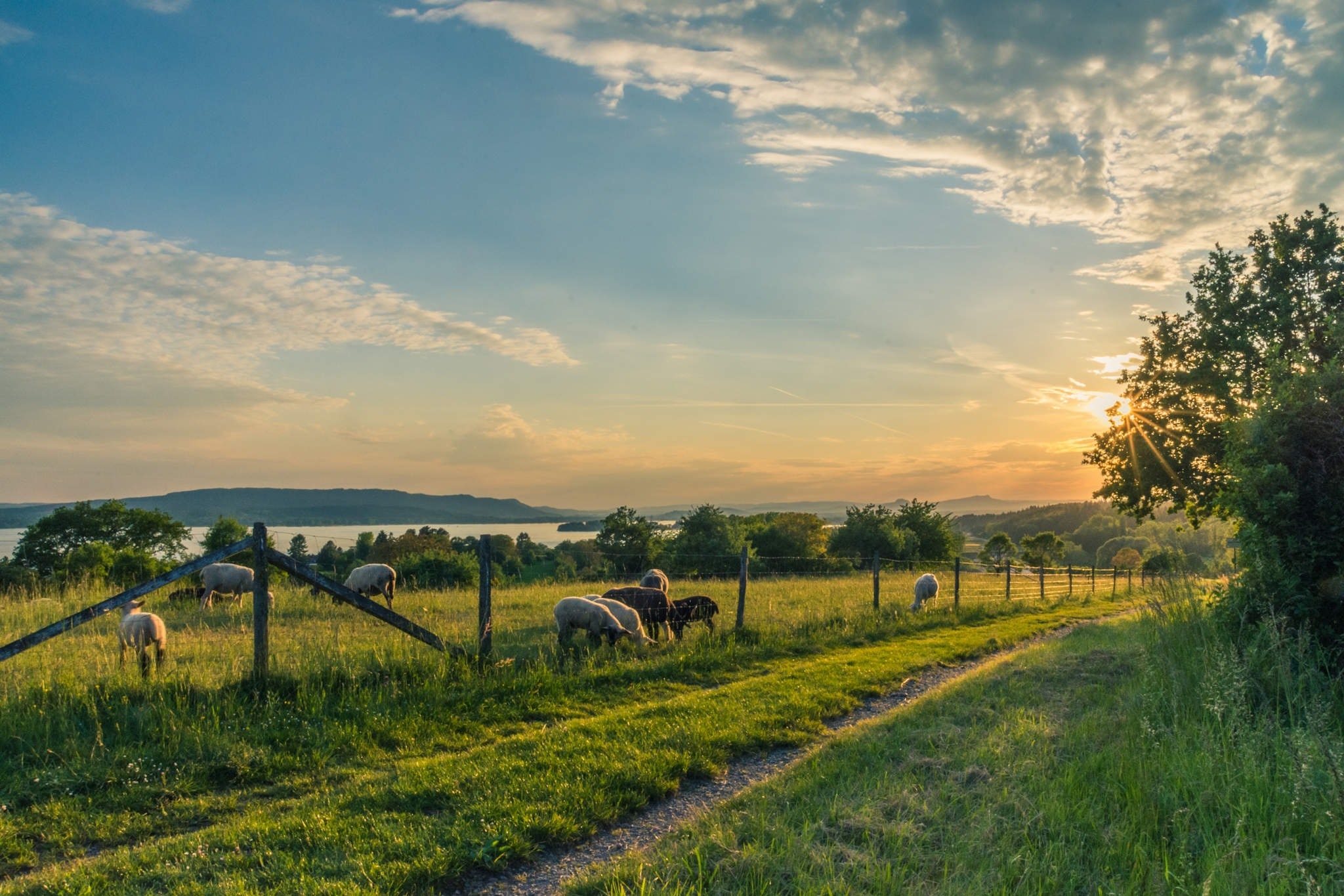 Tips for Moving to the Countryside
