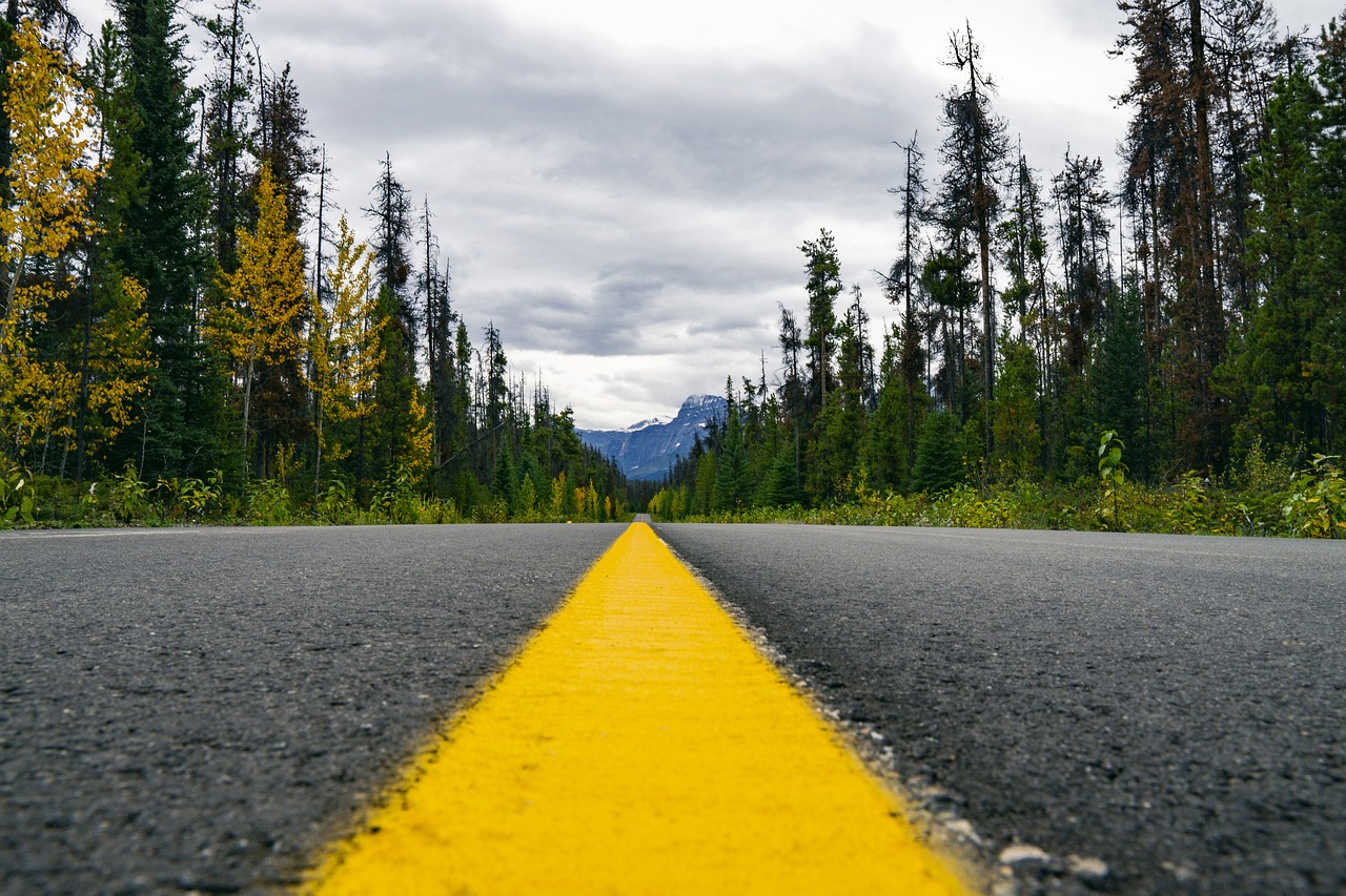 Luxury Road