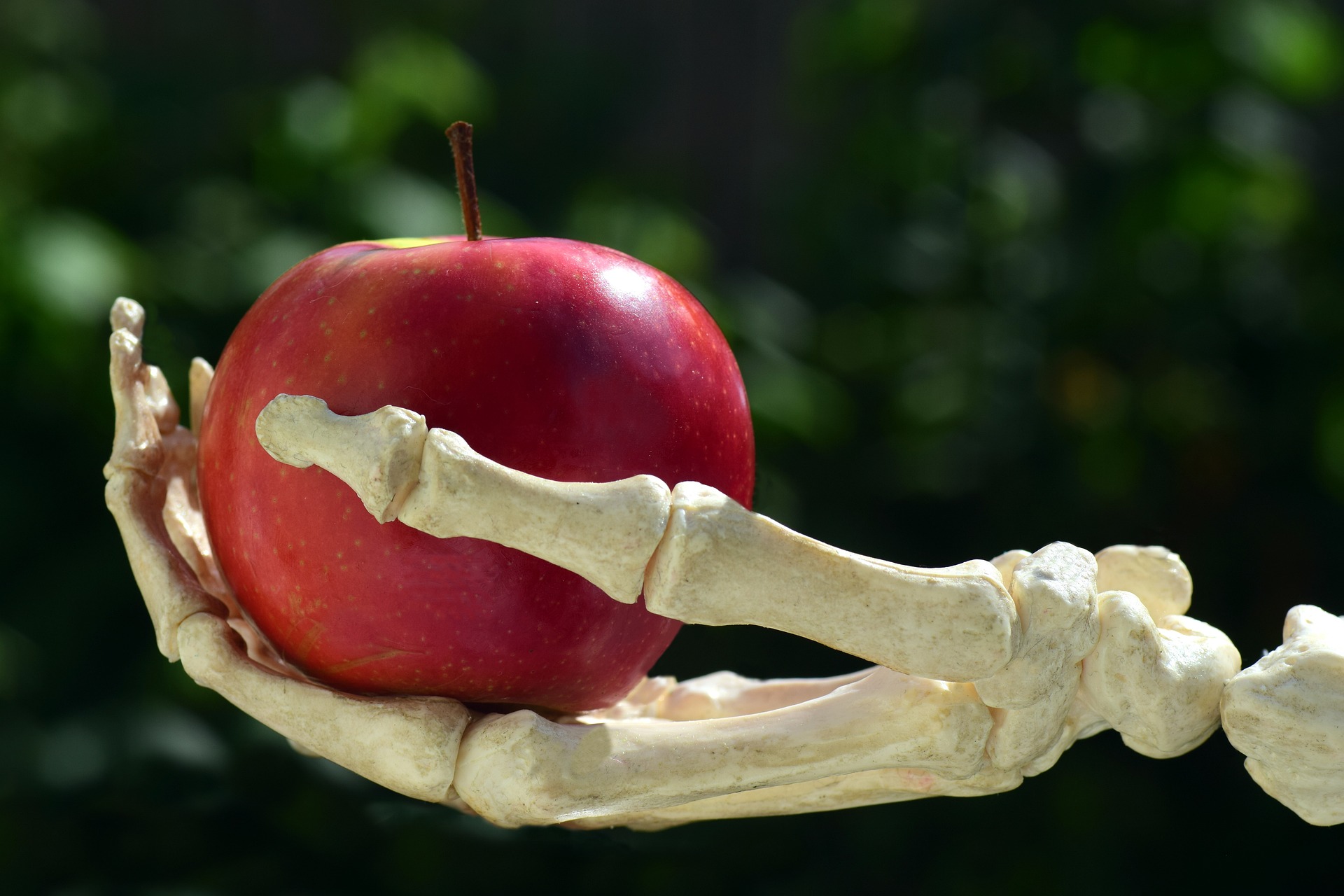 How To Look After Your Bones