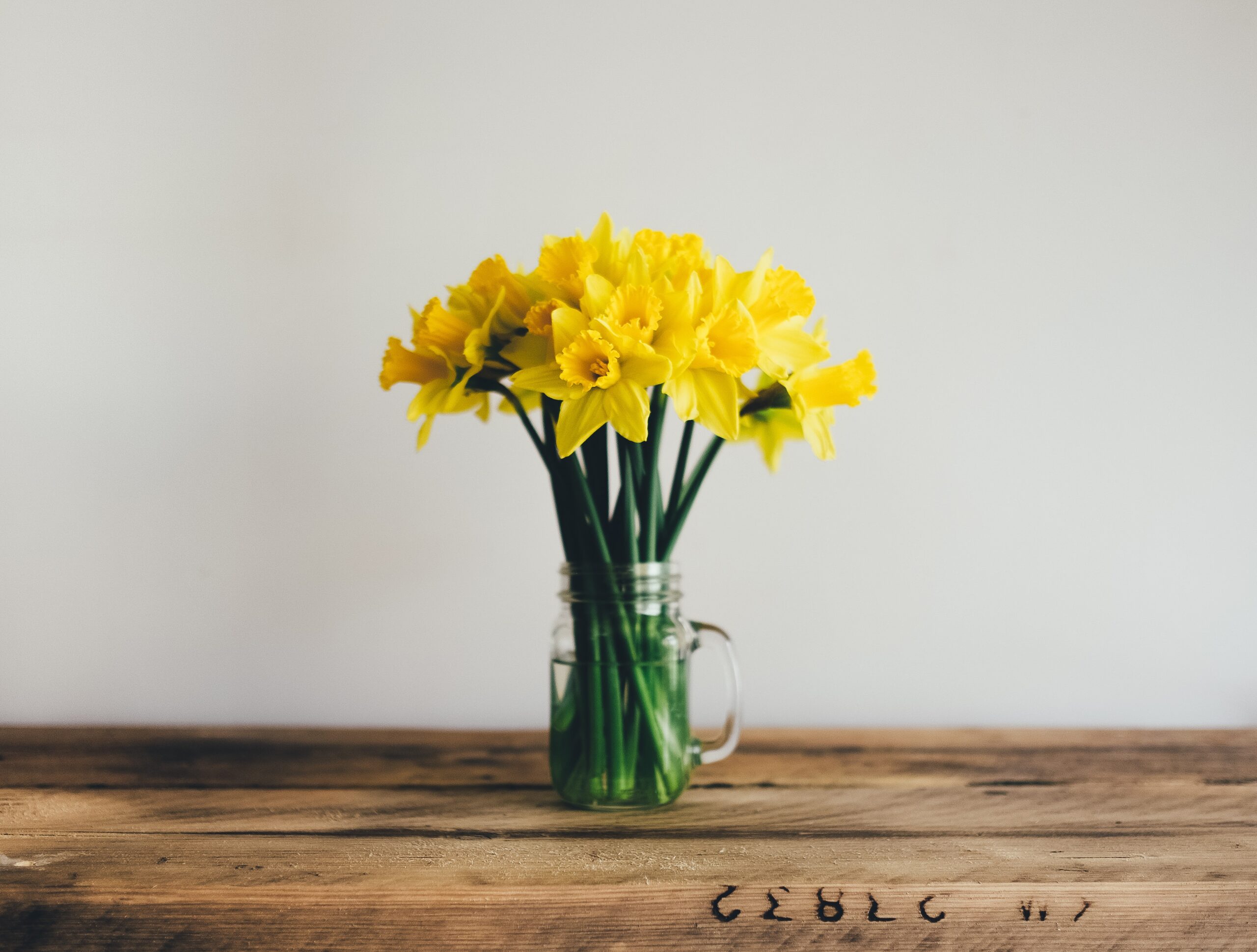 5 Makeover Ideas for Your Home This Spring