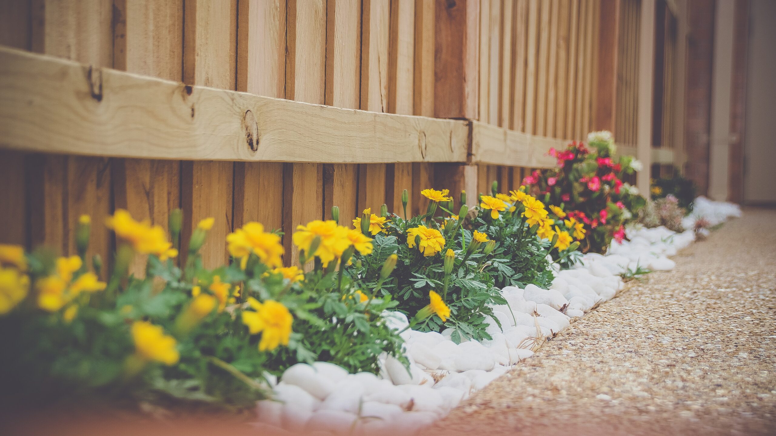 New Home, New Garden – Where Should You Start?