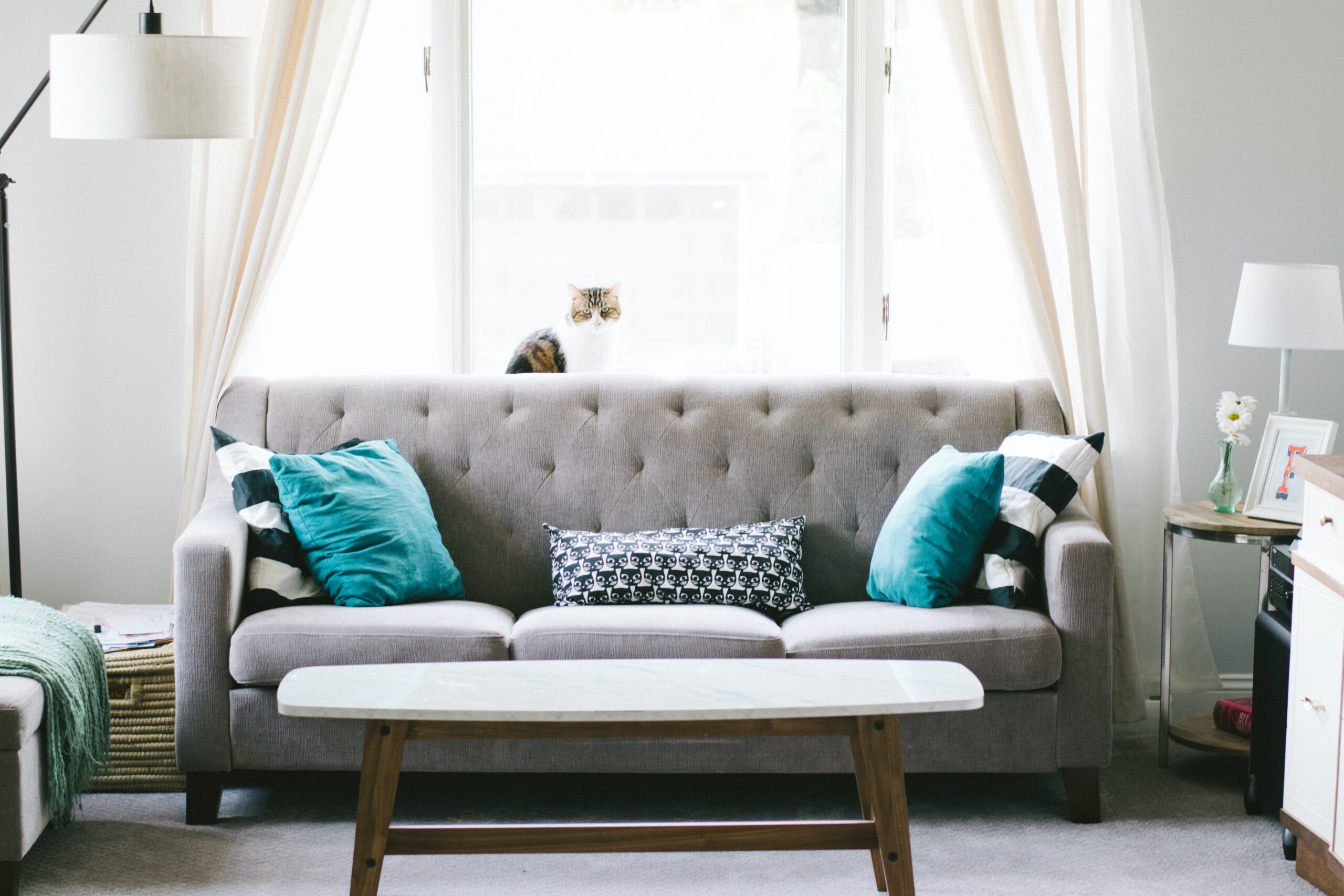 soft window dressings