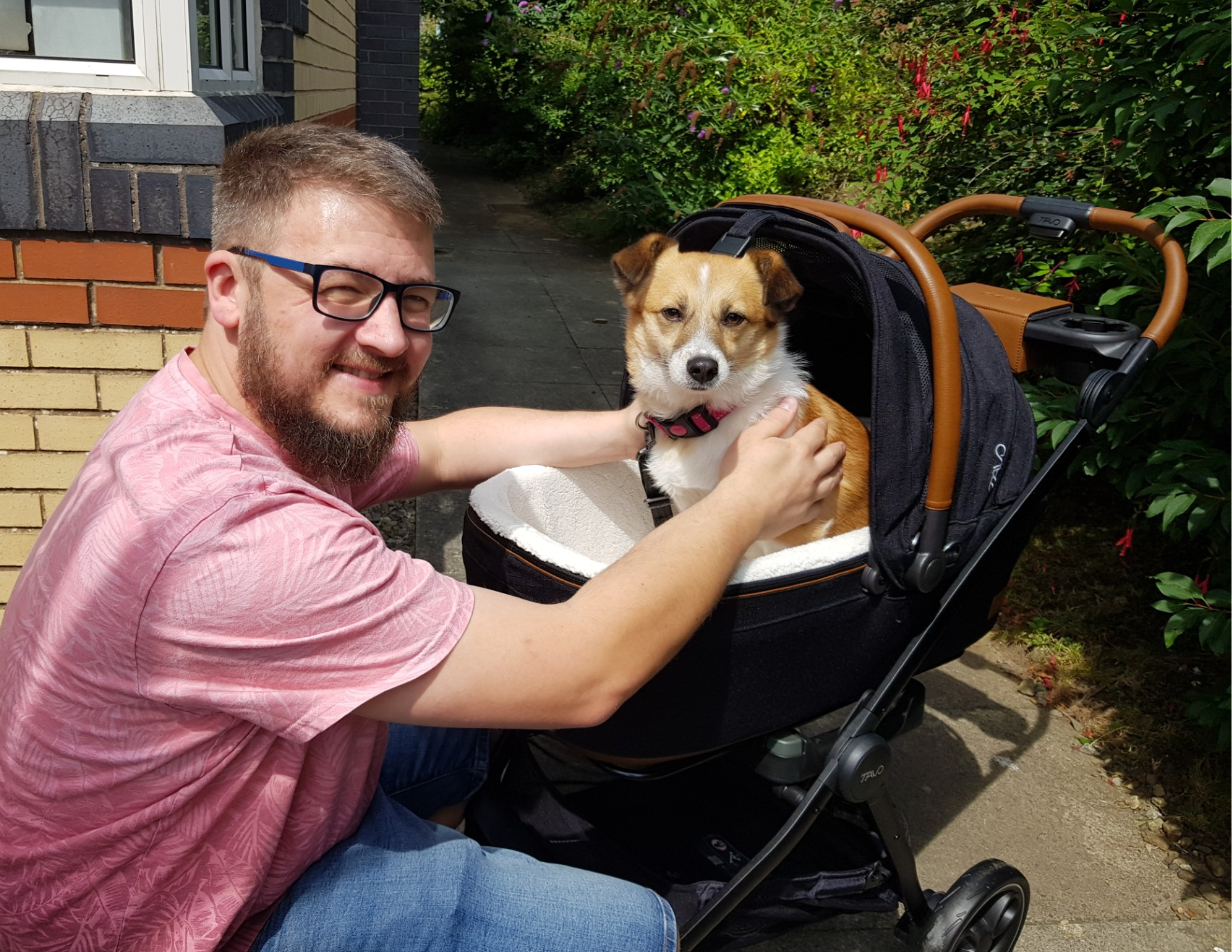 Tavo Maeve Pet Carrier